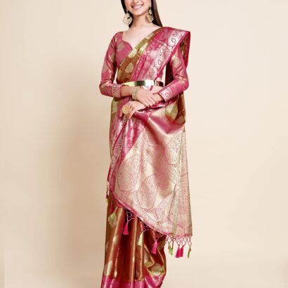 Version 1.0.0 - Bailly - Premium Dress Materials for Every Occasion